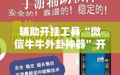 辅助开挂工具“微信牛牛外卦神器”开挂详细安装教程