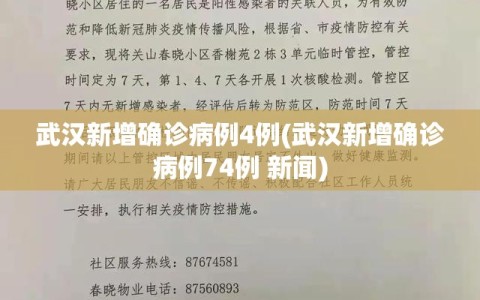 武汉新增确诊病例4例(武汉新增确诊病例74例 新闻)