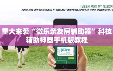 重大来袭“微乐亲友房辅助器”科技辅助神器手机版教程
