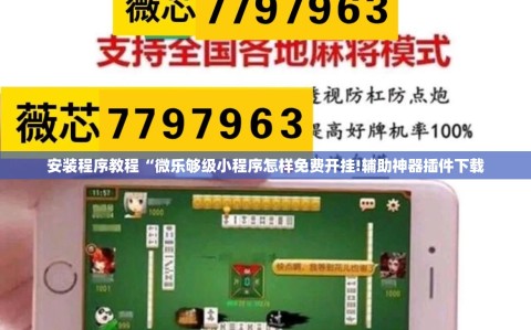 安装程序教程“微乐够级小程序怎样免费开挂!辅助神器插件下载