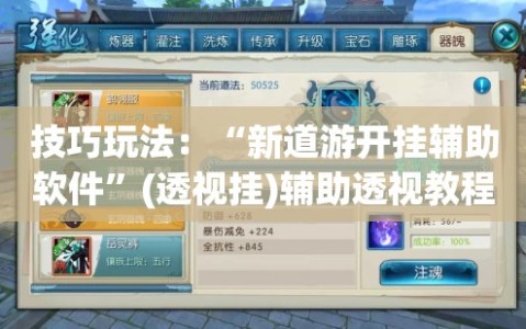 技巧玩法：“新道游开挂辅助软件”(透视挂)辅助透视教程