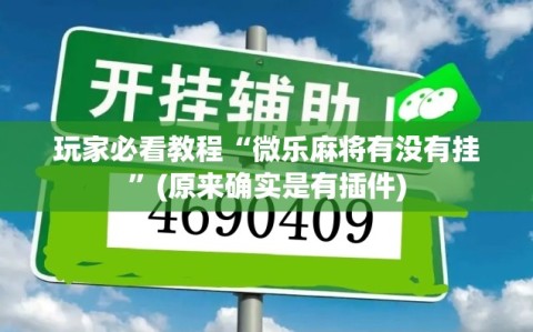 玩家必看教程“微乐麻将有没有挂”(原来确实是有插件)