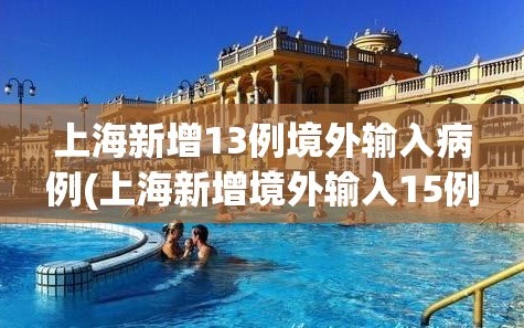 上海新增13例境外输入病例(上海新增境外输入15例)