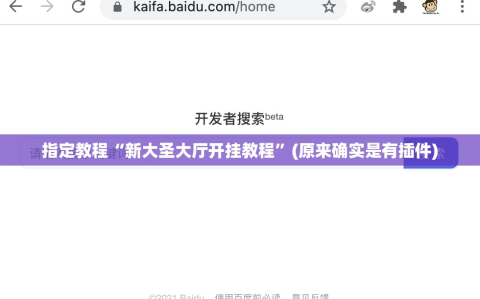 指定教程“新大圣大厅开挂教程”(原来确实是有插件)