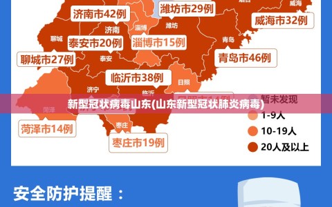 新型冠状病毒山东(山东新型冠状肺炎病毒)
