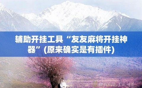 辅助开挂工具“友友麻将开挂神器”(原来确实是有插件)