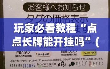 玩家必看教程“点点长牌能开挂吗”(曝光透视必备猫腻)