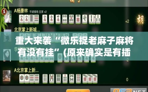 重大来袭“微乐捉老麻子麻将有没有挂”(原来确实是有插件)