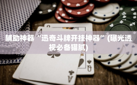 辅助神器“迅奇斗牌开挂神器”(曝光透视必备猫腻)