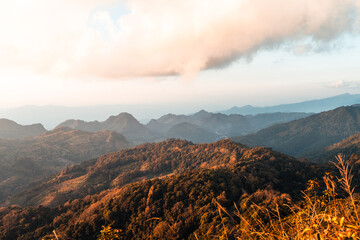辅助教程“微乐山东麻将免费挂”开挂(透视)辅助神器